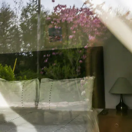 Ben Breen House 4* 克利夫登