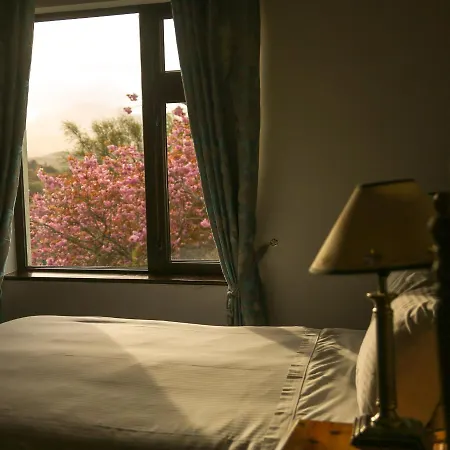 Ben Breen House 克利夫登