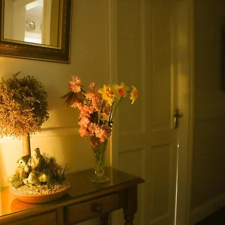 Bed & Breakfast Ben Breen House Clifden