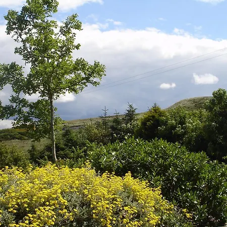 Bed and breakfast Ben Breen House Clifden
