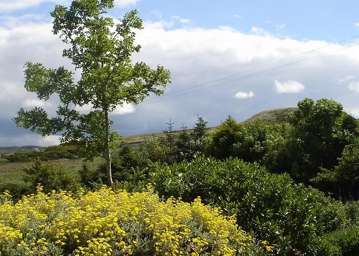 Bed & Breakfast Ben Breen House Clifden